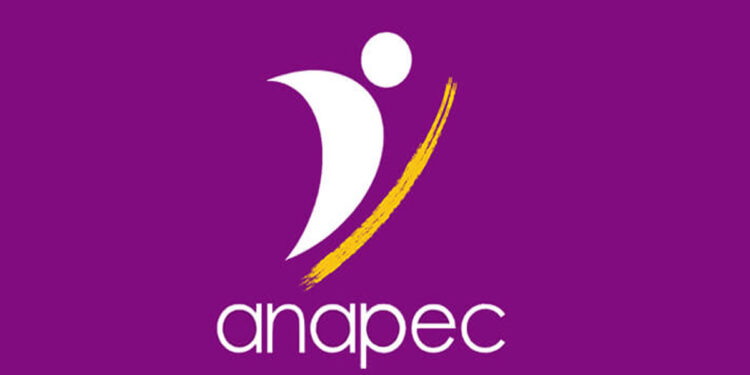 anapec offre986980509