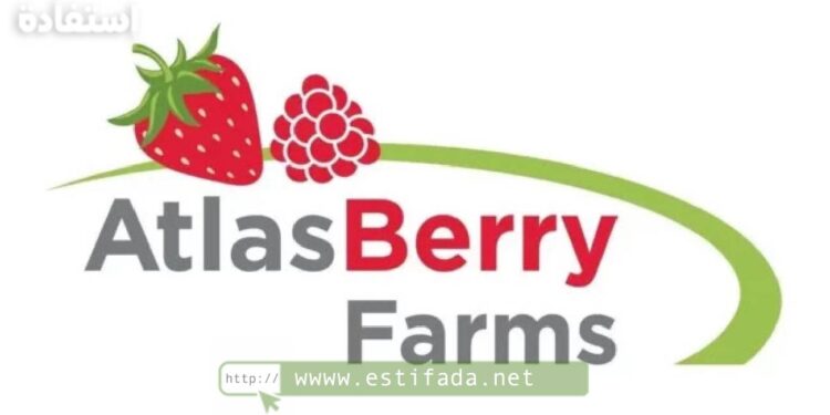 Atlas Berry Farms Recrute: Postes de Chefs d’Équipes